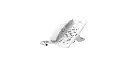 H3W_A_WHITE.webp